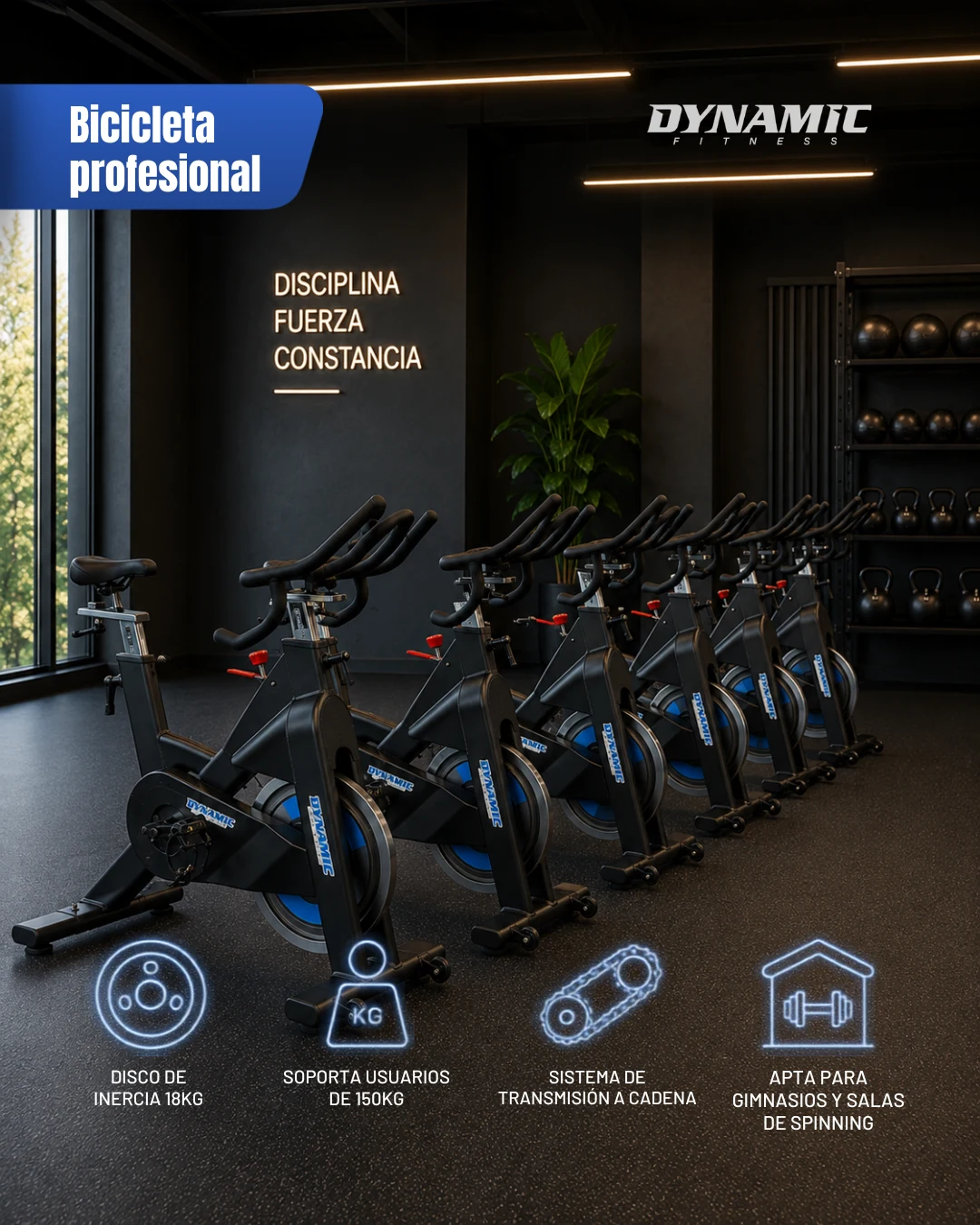 Bicicletas profesionales integradas en un gimnasio con sus características